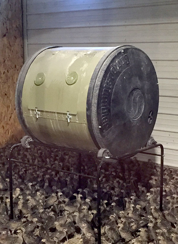 A composter located in brooder facility with birds