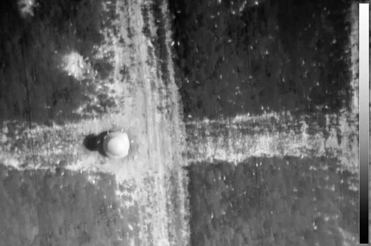 A black and white aerial photo of a flight pen at a gamebird operation taken by a thermosensor camera unit.