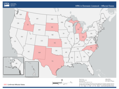 Map of the U.S. showing which states have had HPAI in domestic livestock.